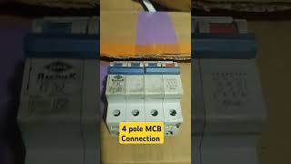 4 pole MCB connection electrical short homeimprovement [upl. by Hartmunn]