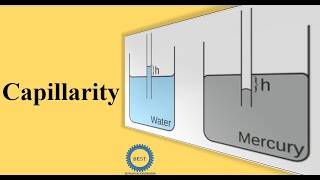 Capillarity [upl. by Vada]