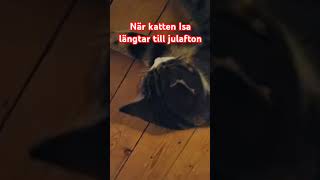 När katten Isa längtar till julafton [upl. by Angelica]