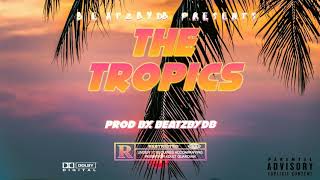 🏝 FREE quotTHE TROPICSquot Dancehall x Afrobeat instrumental 2019🏝 [upl. by Tye927]