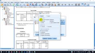 analisis de datos descriptivos spss [upl. by Christean759]