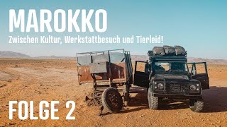 Südosten Marokkos Zwischen Kultur Werkstattbesuch und Tierleid Episode 2 [upl. by Nomead]