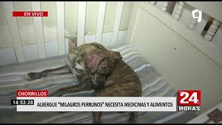 Chorrillos albergue de animales pide donaciones de medicina y alimentos [upl. by Hajan370]