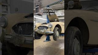 1960 Austin Healey 3000 MK1  New Restoration Project at Muncie Imports and Classics classiccar [upl. by Pendergast]