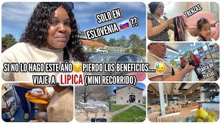 🥰TRENZAS AFRICANASLOOK 💇🏽‍♀️NUEVO COMPRAMOS PLANTA🪴DE FRESA🍓 VIAJE🚘A LIPICA🎠 [upl. by Carrillo]