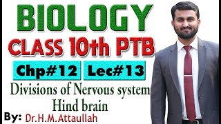 Hind Brain  Chapter  12  Biology Class 10th  Lec 13 [upl. by Ahsinev]