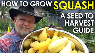 How to grow SQUASH from Seed to Harvest  A Complete Guide  Black Gumbo [upl. by Lorna]