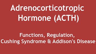 Adrenocorticotropic Hormone ACTHFunctions Regulation Cushing Syndrome amp Addisons Disease ENG [upl. by Malchy]