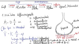 Physiologie Atmung 3 – Gasdiffusion Partialdrücke HenryGesetz Gasgehalt im Blut [upl. by Mart]