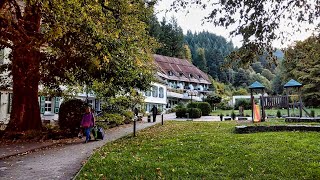 德國蘇爾茨堡Sulzburg森林中【Waldhotel Bad Sulzburg】 四星級酒店 Sulzburg Germany [upl. by Euginimod546]