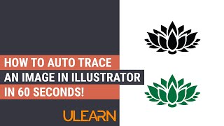 How to Auto Trace an Image in Illustrator in 60 seconds [upl. by Esemaj]