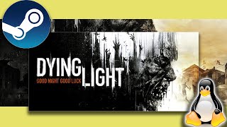 Does Dying Light run on Linux  Linux Gaming [upl. by Jahncke]