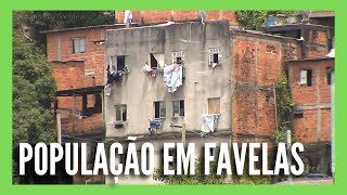 Quase 164 milhões de pessoas moram em favelas no Brasil 08112024 [upl. by Annim]