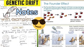 Genetic Drift  Bottleneck Effect Founders Effect Notes 😎😎 [upl. by Welford]