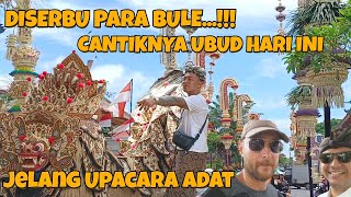 UBUD DIPERCANTIK❗❗JELANG UPACARA NGUSABA PURA DESA UBUD BALI [upl. by Annodas]