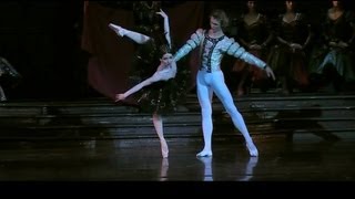 Evgenia Obraztsova  Swan Lake Part 4 OdileBlack Swan [upl. by Woodsum]