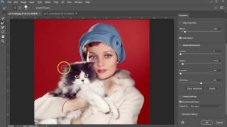 Quick Selection tool exercise for Adobe Photoshop 2017 [upl. by Aehtorod549]