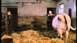 Seventy Summers  The Story of a Farm Pt 55 quotThe Changing Viewquot BBC 1987 [upl. by Emerson142]