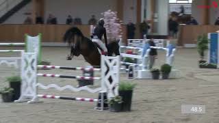 CSI Riesenbeck International 3 Oktober 2024  5 Oktober 2024CSIYH [upl. by Nirtiac334]