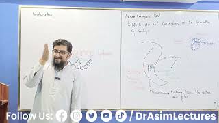 Process of Gastrulation [upl. by Sanger]