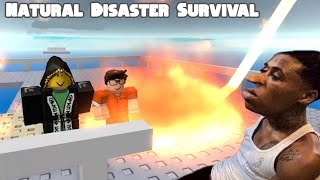 natural disaster survival but its silly willy [upl. by Mendel]