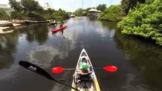 Estero River Kayak Trip [upl. by Mcnamara326]