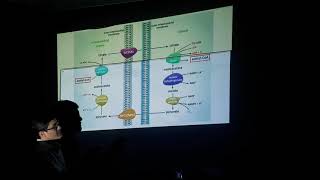 Biosintesis de Acidos Grasos y Eicosanoides Parte1 [upl. by Rizan]