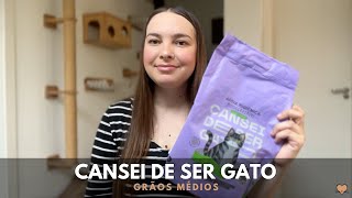 Testamos a Areia Biodegradável Cansei de Ser Gato Grãos Médios  Leticia MdO [upl. by Yrotciv724]