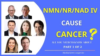 Does NMNNRNAD IV cause cancer Part1 [upl. by Heidt706]