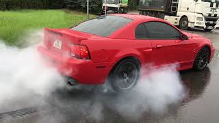 2003 SVT Cobra Terminator Burnout 530HP [upl. by Felike348]