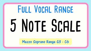 Vocal Warm up  5 Note Scale Up and Down  Mezzo Soprano [upl. by Aerdnek309]