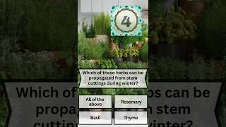 The Power of Herb Propagation shorts gardeningshorts herbs beginnergardener [upl. by Koby]