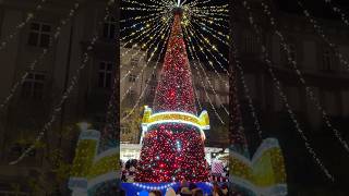 Budapest Christmas Market 2024 in 360° view 🎄🎁 [upl. by Nylitak231]