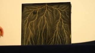 deep dielectric discharge Lichtenberg figure [upl. by Blakelee858]