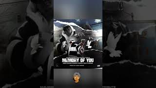 Sannere verse on Memory of you ft Aubrey Qwana [upl. by Hickey]