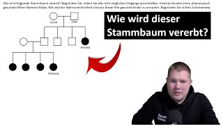 ABITRAINING  Stammbaumanalyse 1 Wie wird dieser Stammbaum vererbt [upl. by Akkahs]