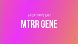 SNiP Educational Series MTRR Gene [upl. by Norud]