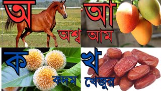 বাংলা স্বরবর্ণ  অআইঈউঊঋএঐওঔ  বাংলা ব্যঞ্জনবর্ণ  কখগঘঙ  বাংলা বর্ণমালা Bengali Alphabet [upl. by Lagas133]