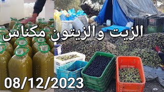 أثمنة الزيت والزيتون مكناس 08122023 [upl. by Ribak]