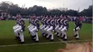 2014 Summerall Guards Homecoming Performance [upl. by Nylatsyrc]