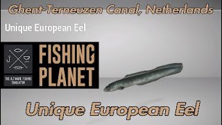 Unique European Eel  GhentTerneuzen Canal Netherlands  Fishing Planet Guide [upl. by Ahseirej46]