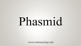 How To Say Phasmid [upl. by Winthorpe608]