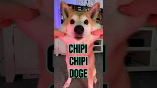 Chipi Chipi Chapa Chapa Doge ULTIMATE MEME MASHUP 4 doge cutenessoverload memes [upl. by Lekar478]