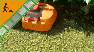 Worx Landroid WR130E model S300 Robot Lawn Mower with Perimeter Wire  Customers operating video [upl. by Velasco121]