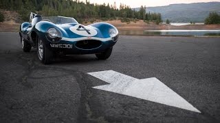 Jaguar DType 24 Hours Of Le Mans Champion [upl. by Bronder]