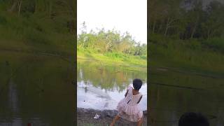 Fishing Video  amazing girl hook fishing video  pond fishing  fishingtechniques shorts short [upl. by Soloma]