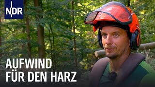 Wandern Wald und Aufwind  Die jungen Wilden im Harz  die nordstory  NDR [upl. by Taro]