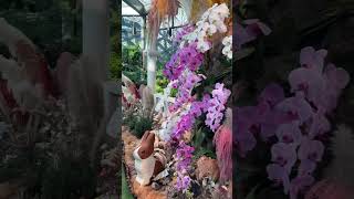 Floral fantasy  Gardens by the bay  Singapore [upl. by Urbain]