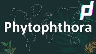 Phytophthora life cycle LECTURE POWERPOINT PRESENTATION  Disease Cycle of Phytophthora [upl. by Redmer]