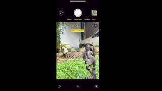 How To Use Camera Grid On Mobile Phone Photography amp Videography  Grid එක හරි විදියට පවිච්චි කරමු [upl. by Juliet]